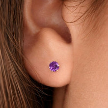 Charger l'image dans la galerie, Boucles d'oreilles Puce Améthyste