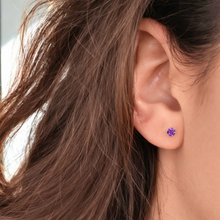 Charger l'image dans la galerie, Boucles d'oreilles Puce Améthyste
